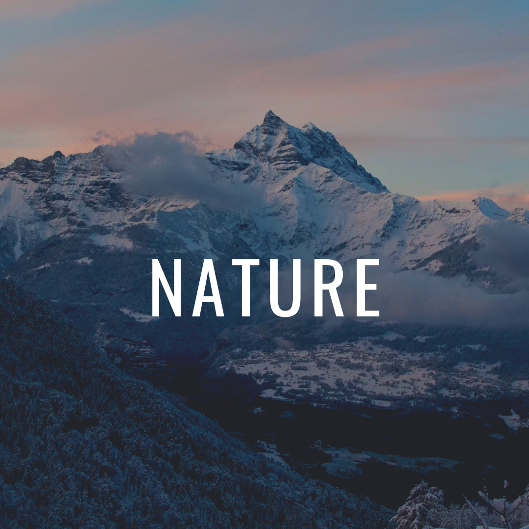 Best fonts every designer